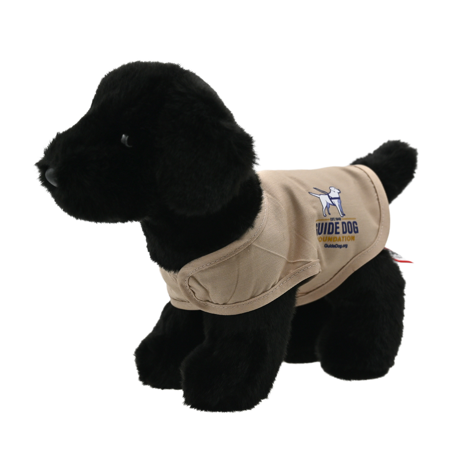 Products Guide Dog Foundation Second Sight® Shop